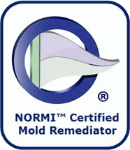 NORMI CMR Logo