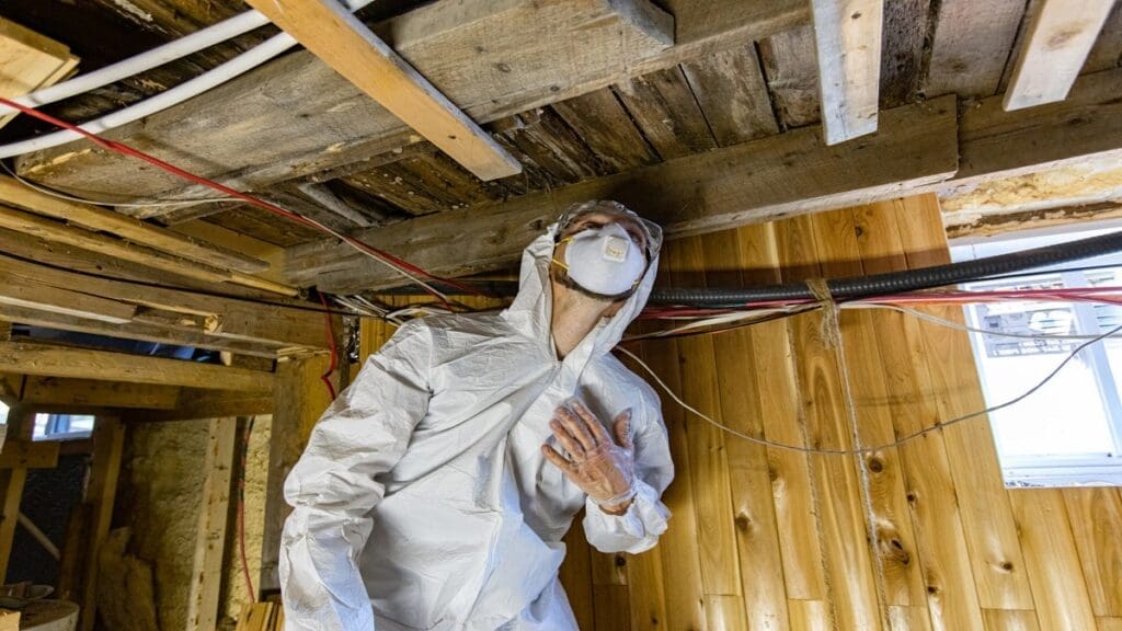 a person is inspecting mold under the wooden roof.