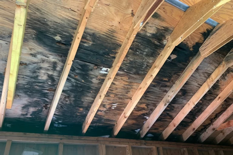 a wood roof with black mold showing in picture.