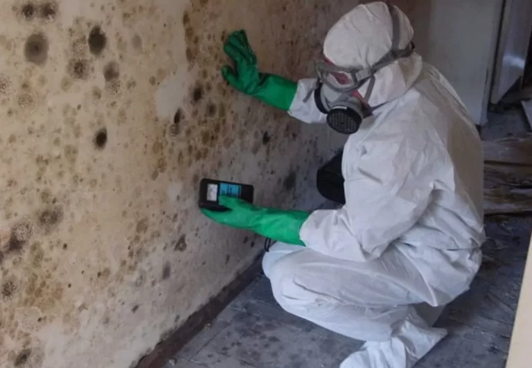a person is testing mold on wall