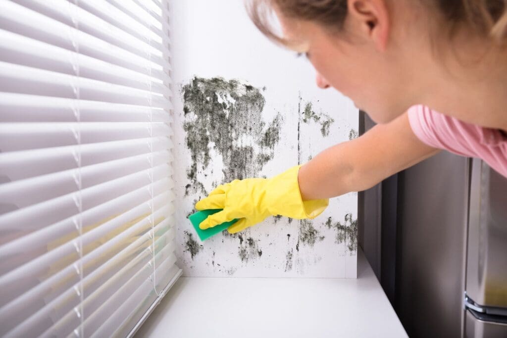 a woman is wearing protective gloves and scrubbing mold on wall with the scrubber.