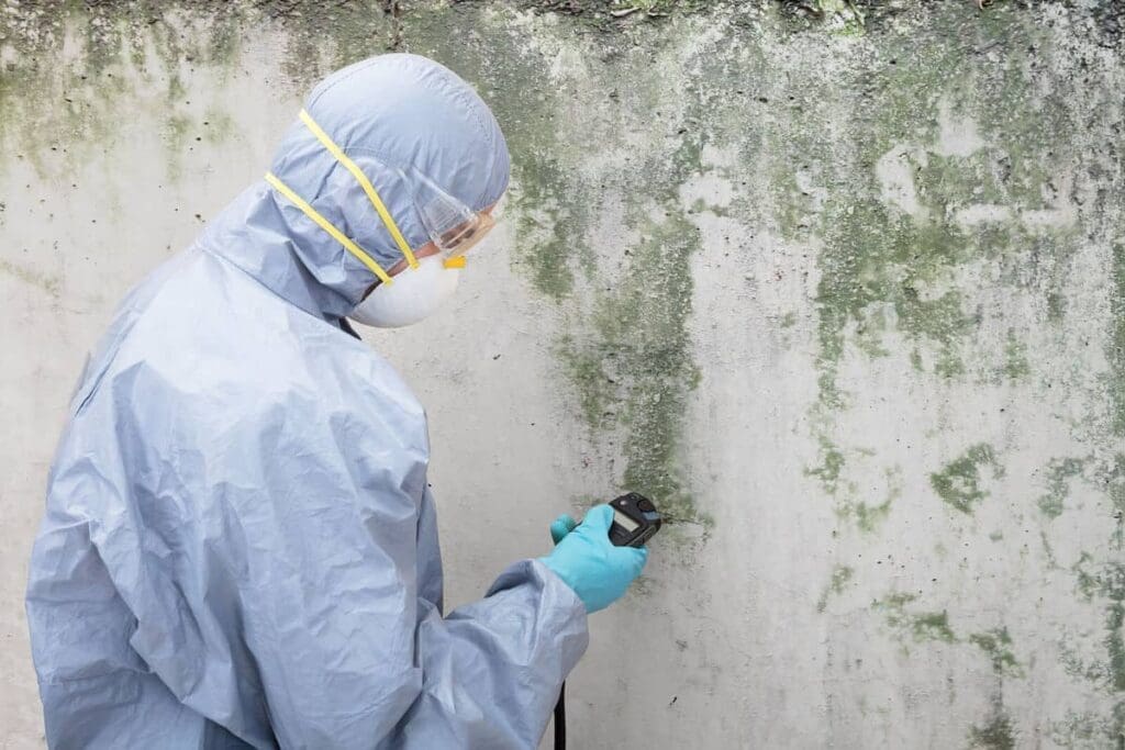 a person is testing mold on wall.