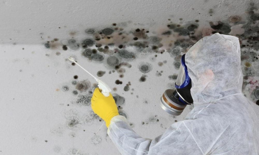 a man spraying solution on mold.