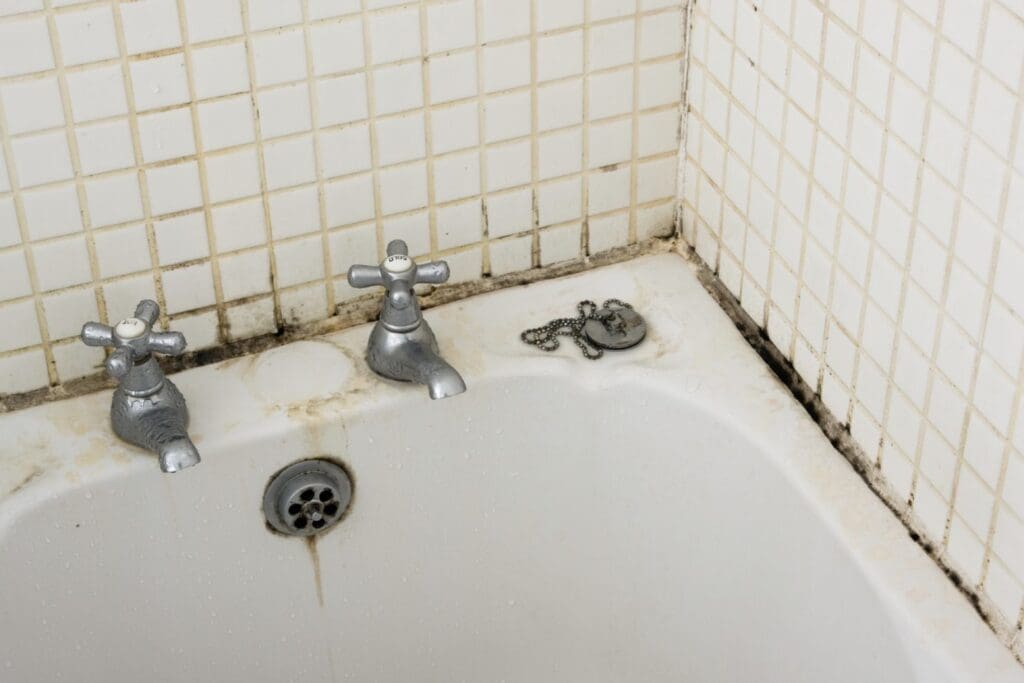 mold around bathroom sink