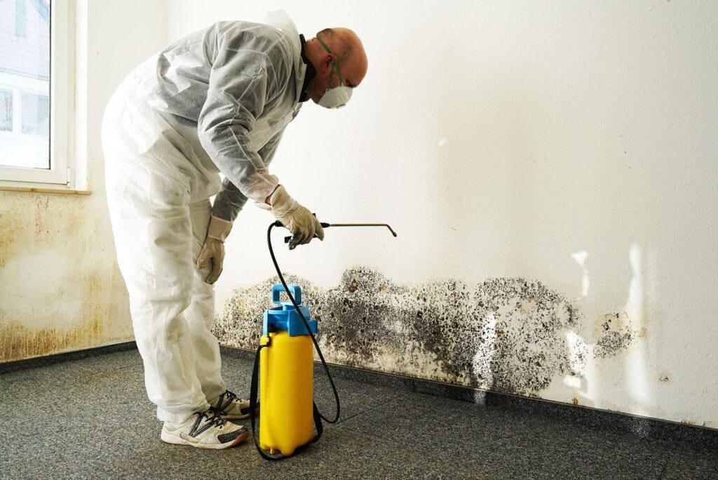 a mold expert spraying solution on mold on a wall.