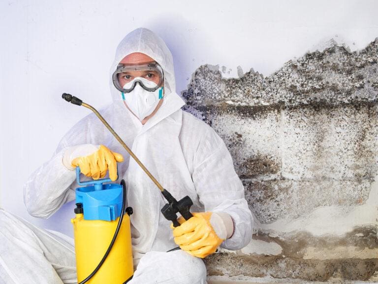 mold removal expert wearing protective gear and spray machine in his hand