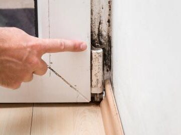 Mildew is the precursor to mold, requiring less depth to adhere to surfaces.