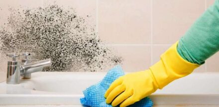 close shot of a hand wearing yellow glove cleaning mold area on a wall