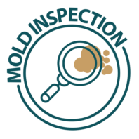 Mold Inspection Icon