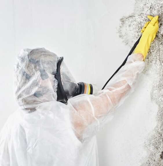 Removing mold from surfaces