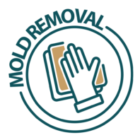 Mold Removal Icon