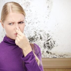 mold, mildew and musty odors