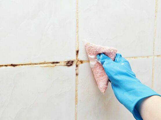 Mildew which cannot adhere to the smooth tile, can grow in grout lines.