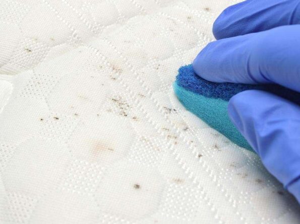 mildew can be removed from fabrics, too