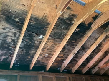 a wood roof with black mold showing in picture.